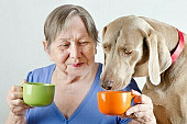 Peut-on amener son chien en maison de retraite ?
