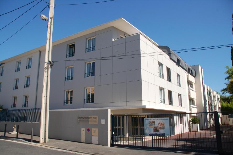 Les épis D'or