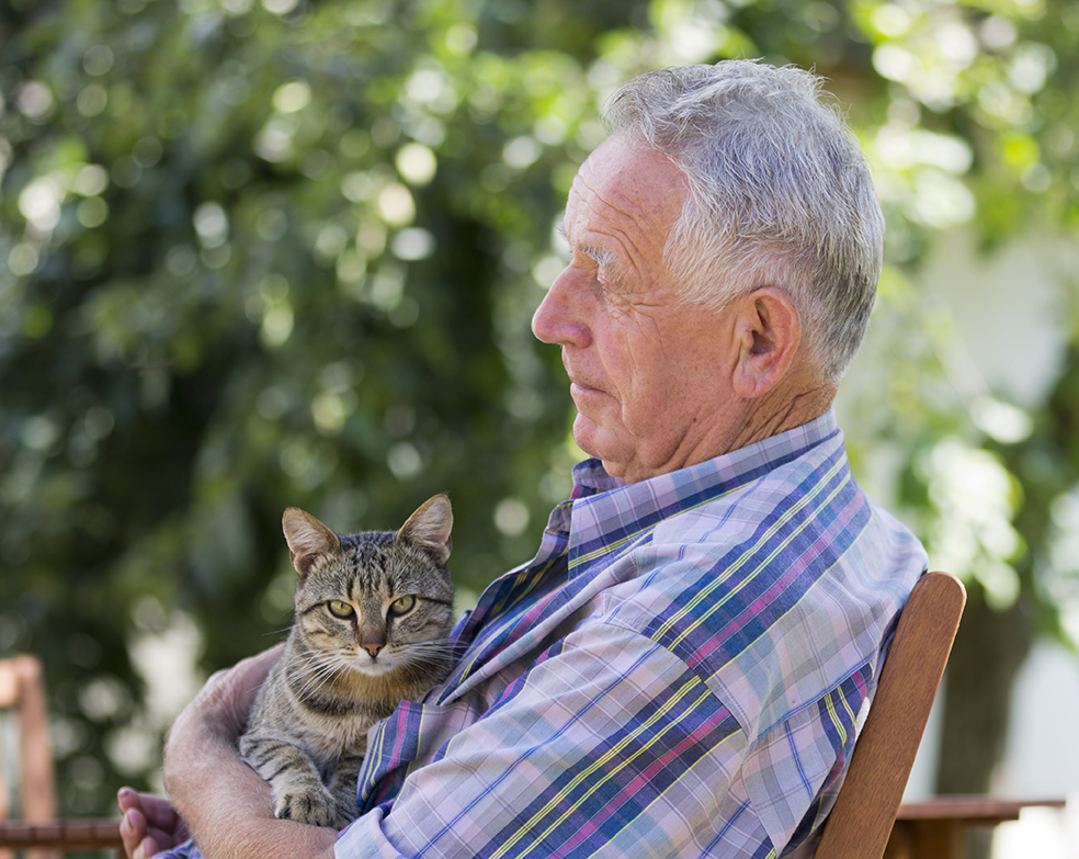 Le cancer de la prostate chez les seniors