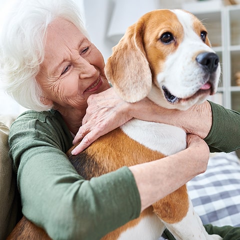 Des Chiens En Maisons De Retraite