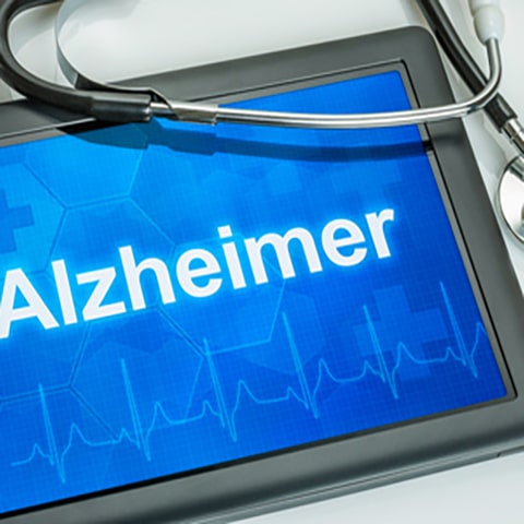Rencontres avec les spécialistes de la maladie d'Alzheimer