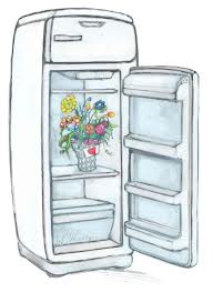 Zoom sur le frigo des seniors!