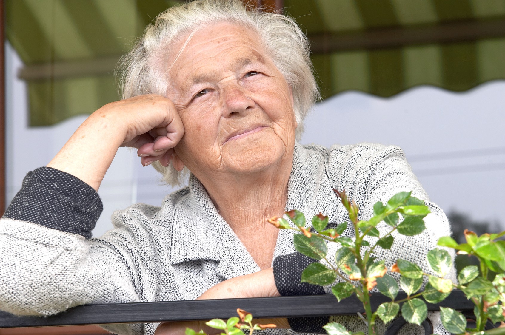 La maladie d’Alzheimer : Le point sur les avancées