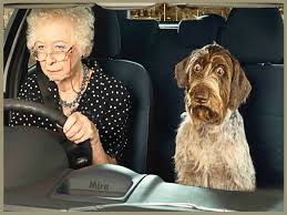 Personnes âgées au volant : Est ce bien prudent ?
