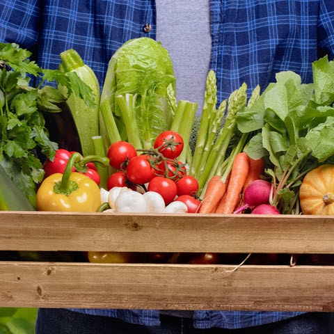 Et si vous protégiez votre cerveau grâce à une alimentation spécifique?