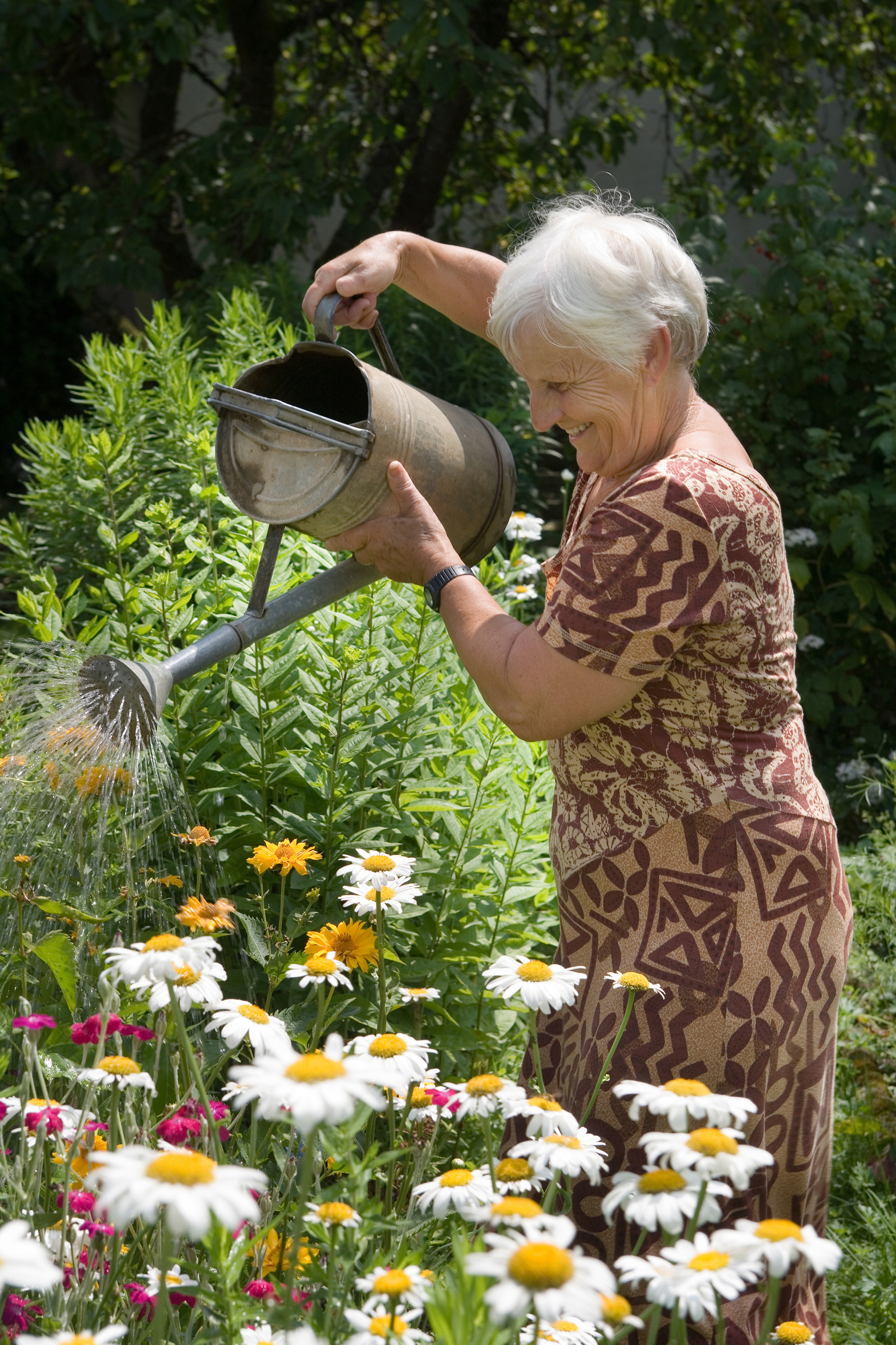 Du jardinage contre la démence